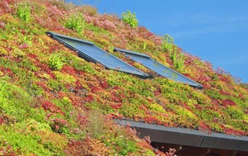 Beddington Corner living roof systems