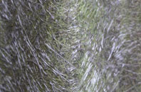 Beddington Corner fibreglass roof work